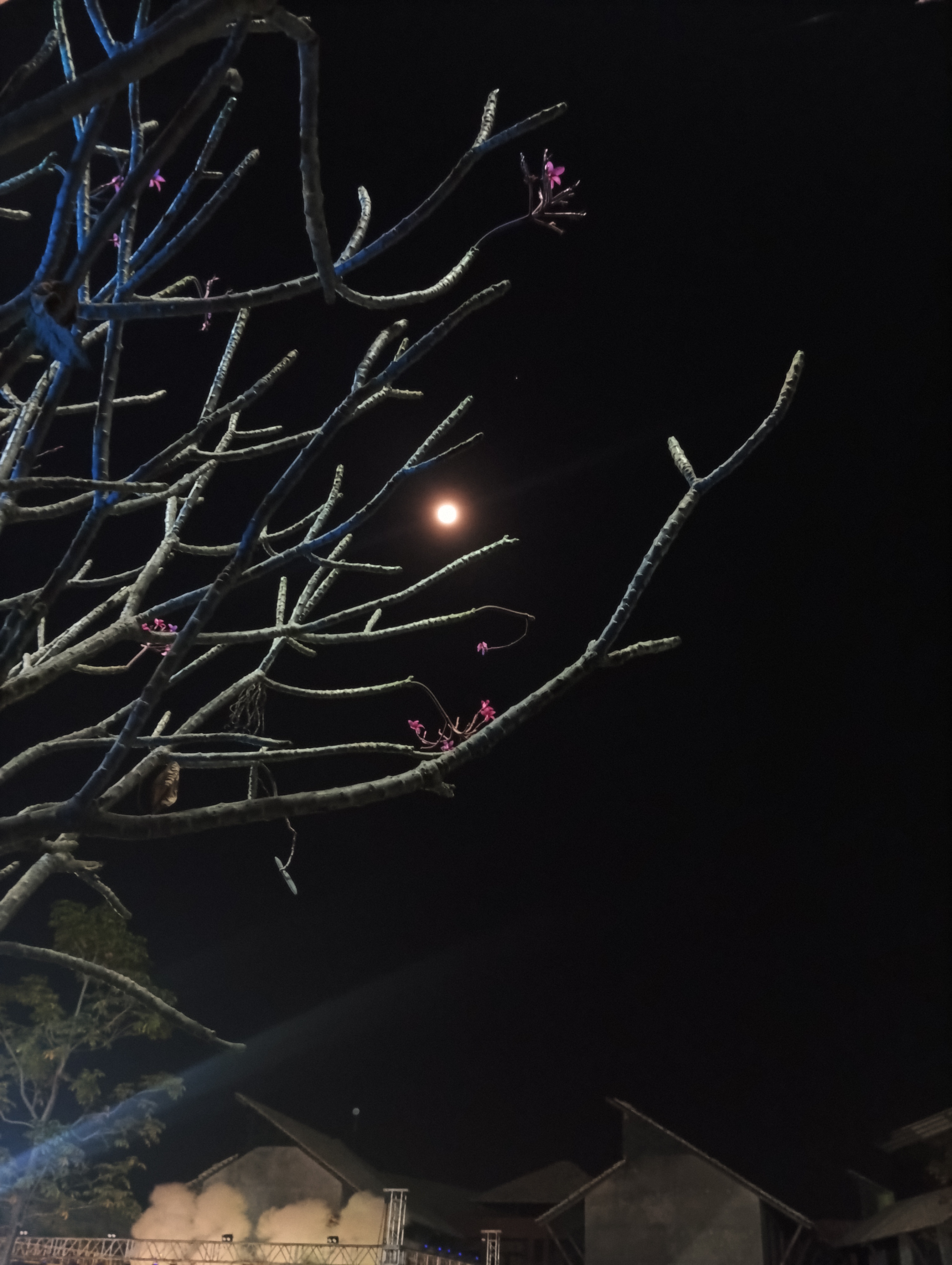 Additional PG Hostel Image 4