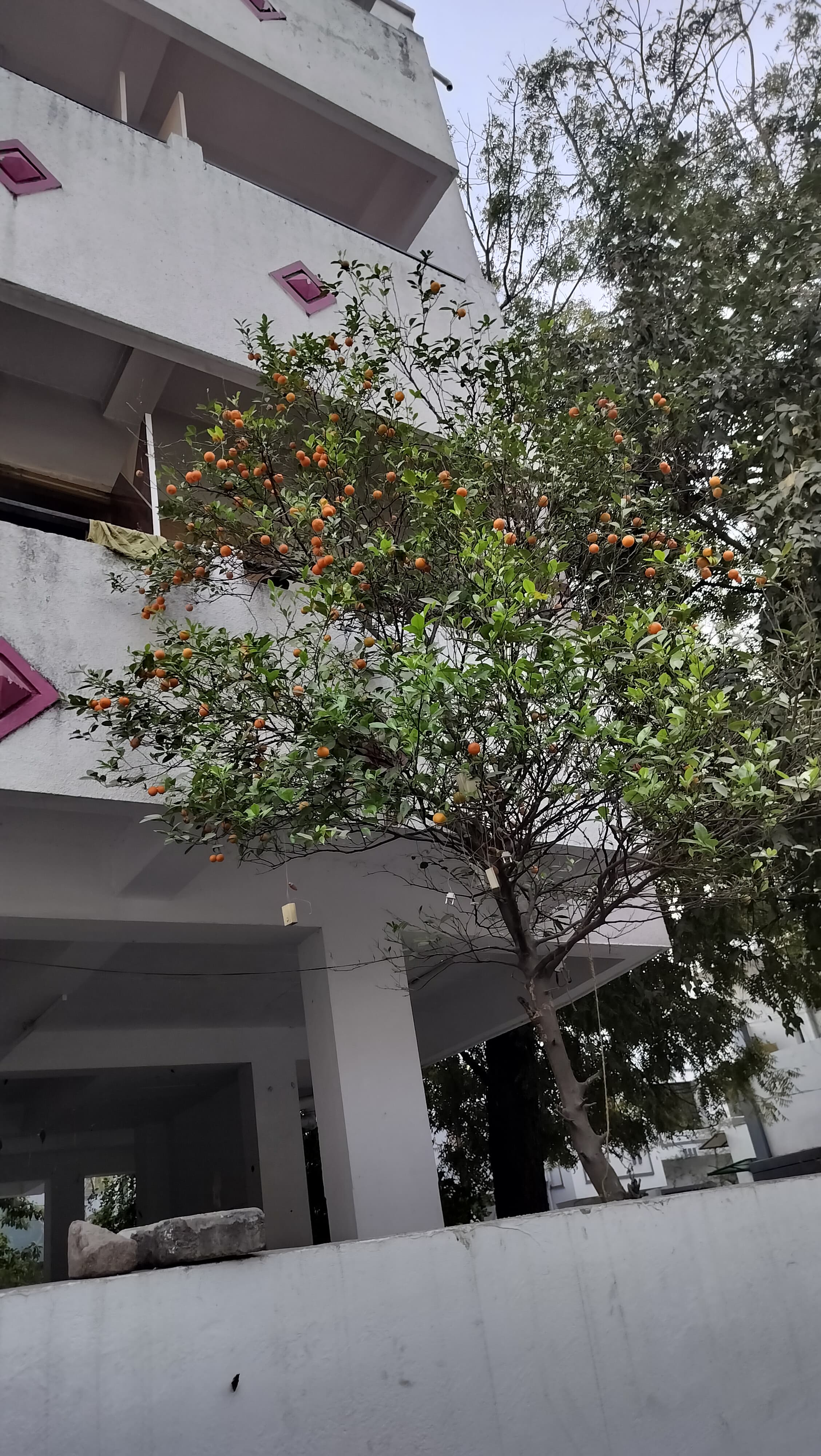 Additional PG Hostel Image 1